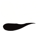 Derby City Pigeon Resuce