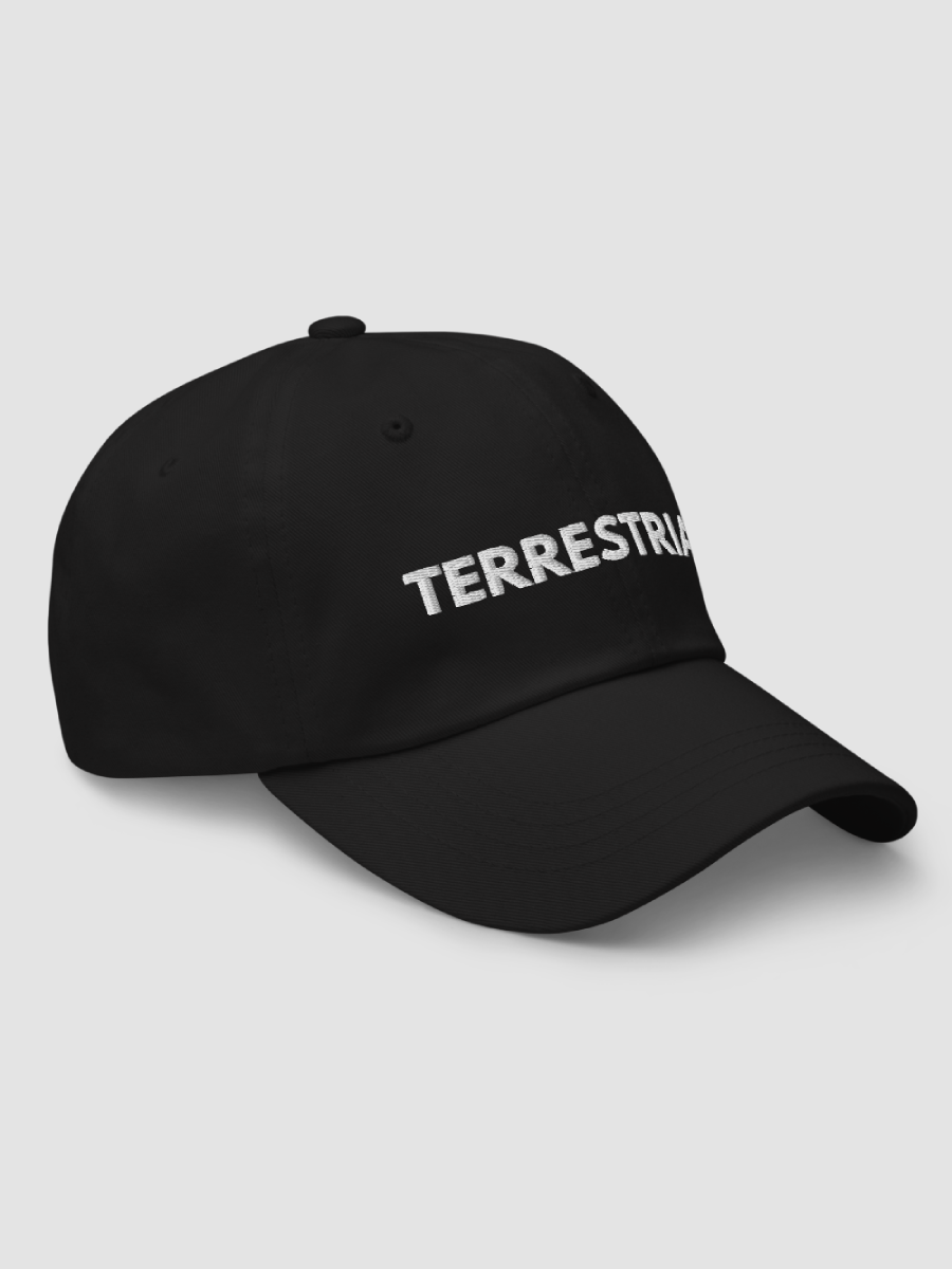 Classic Logo Hat product image (3)