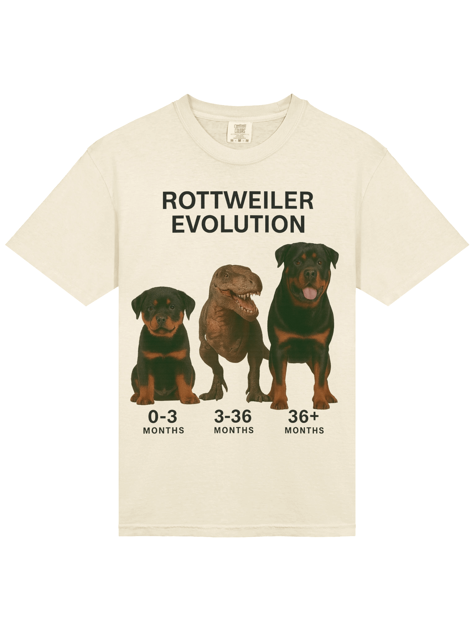 Rottweiler Evolution Tee product image (37)