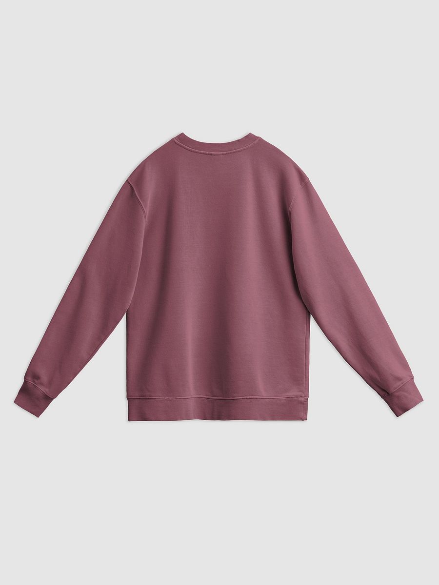 Bubbly and a B*tch (sm. lined design, #6D1616) printed pigment crewneck product image (18)