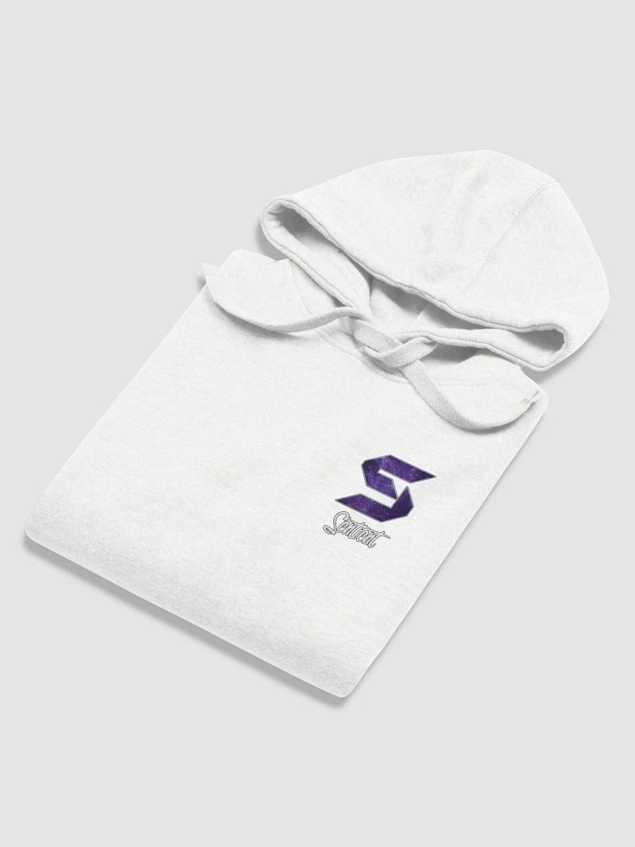 Sentient S Hoodie product image (6)