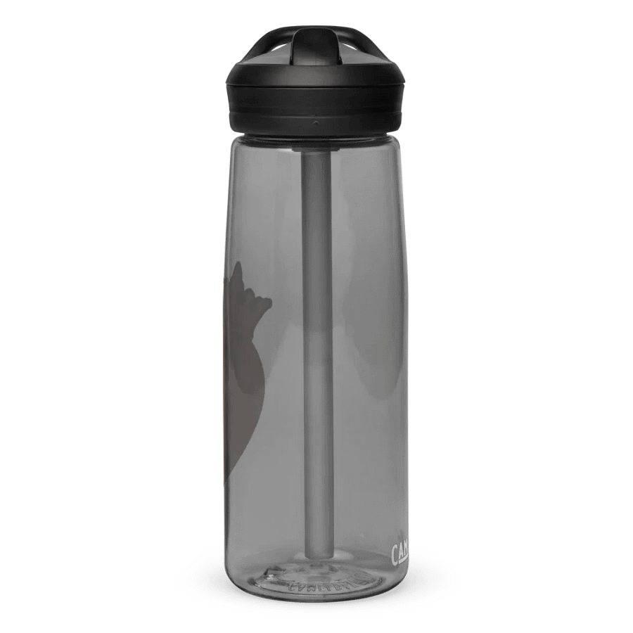 Lordpeachy and friends Water Bottle product image (3)