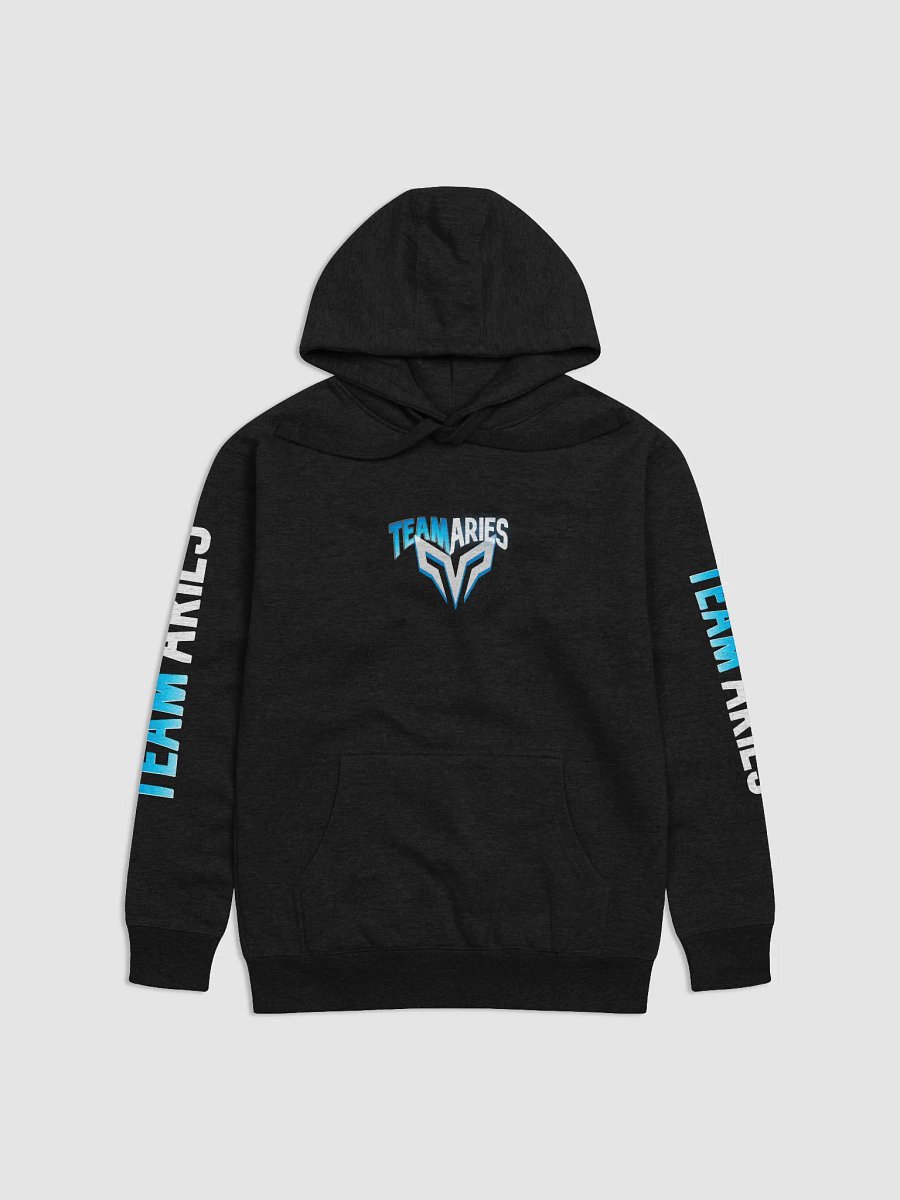 Team Aries Hoodie product image (1)