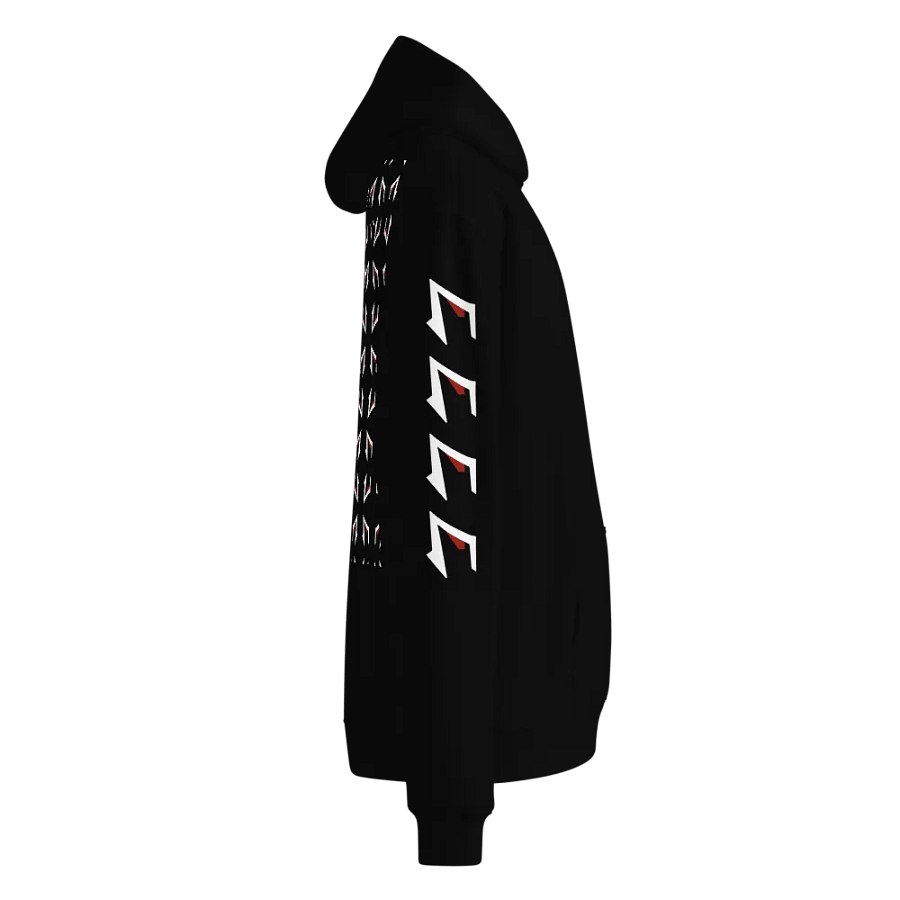 FAME PRODUCTIONS MULTI logo Hoodie product image (4)
