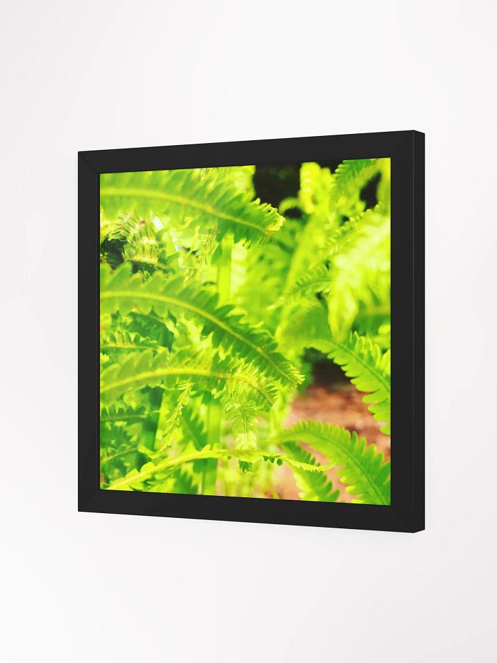Element 2 product image (2)