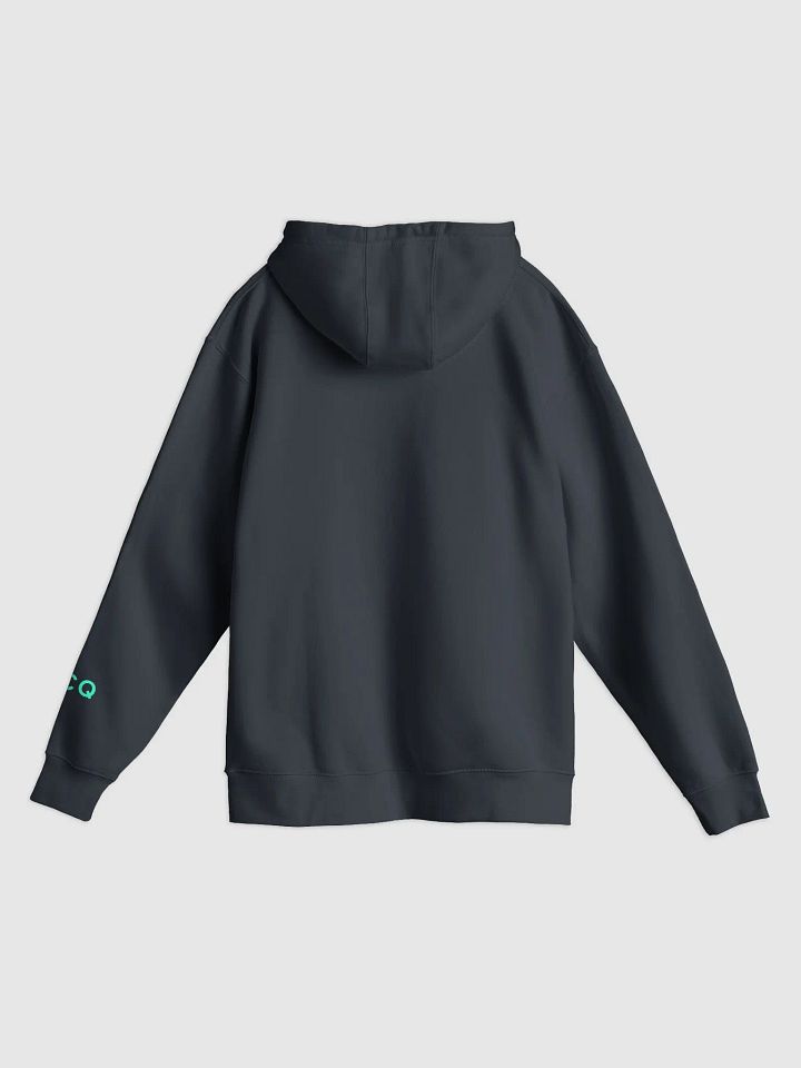 Benchmark Hoodie product image (2)