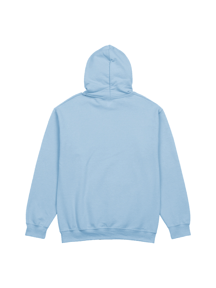 Talking to You Just Goes In One Ear and Out the Other hoodie product image (11)