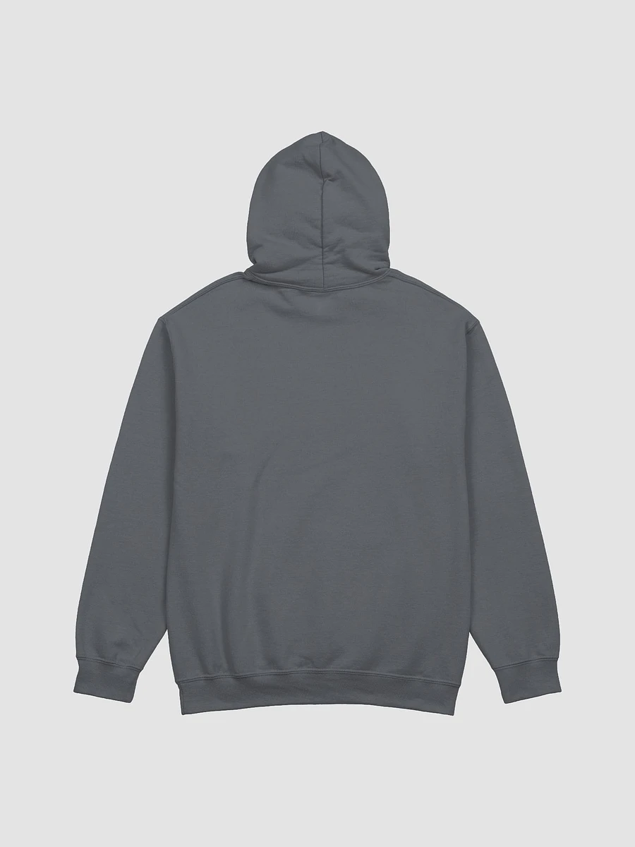 Vaporcicada classic hoodie product image (25)