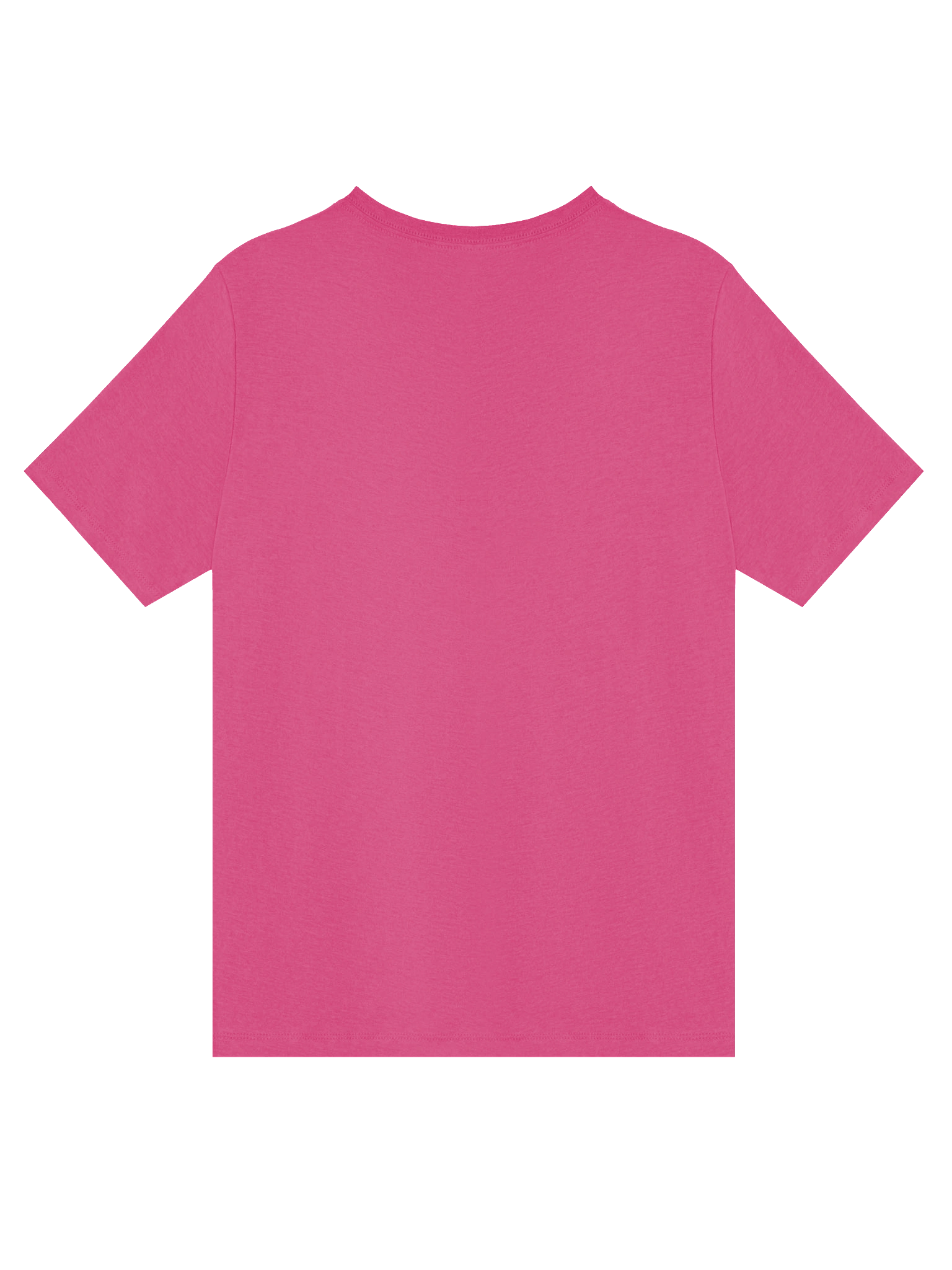 Sunflower Paw V-Neck Tee product image (59)