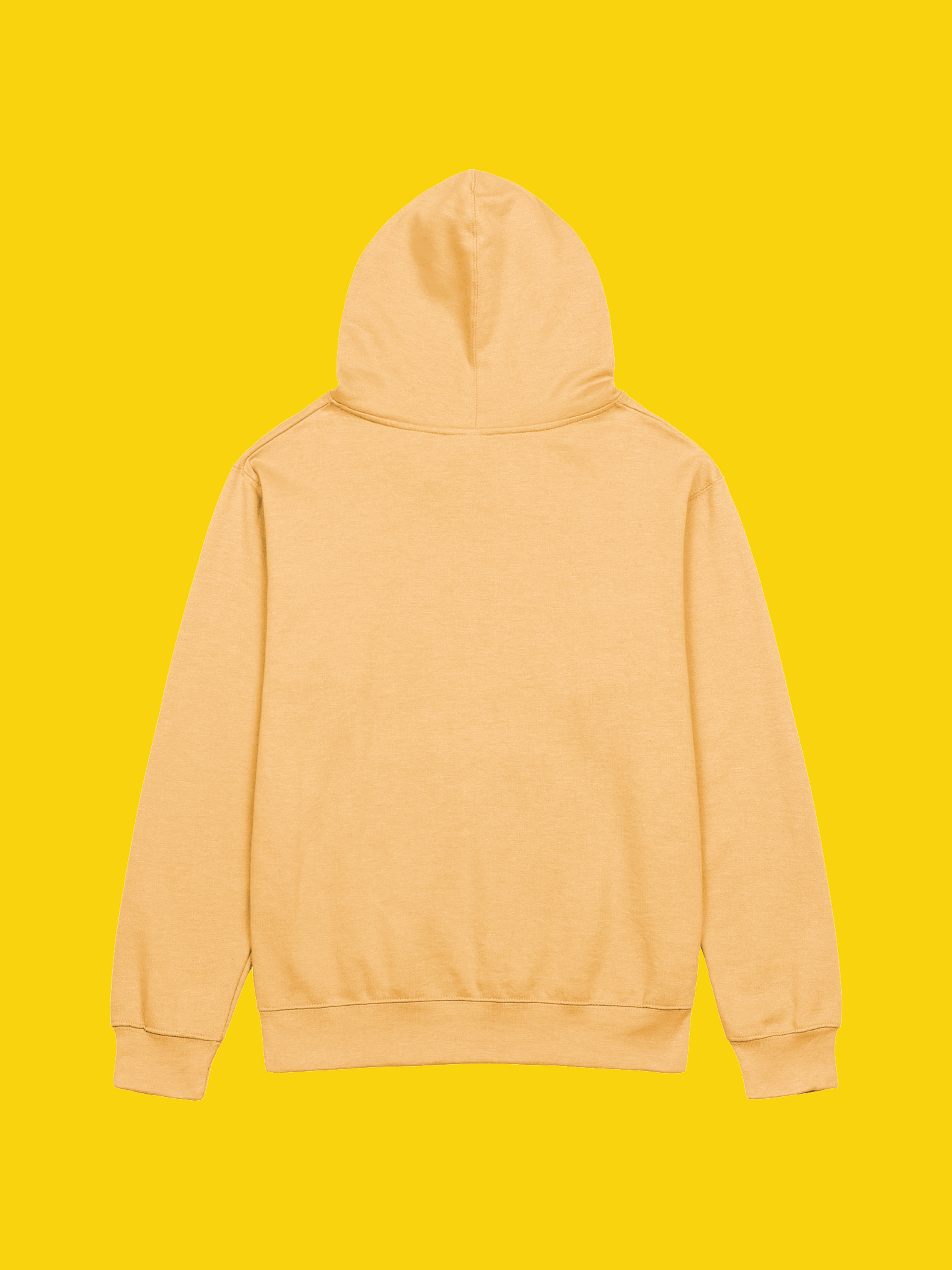 Independent Trading Co. Midweight Hoodie | WIL Style product image (51)