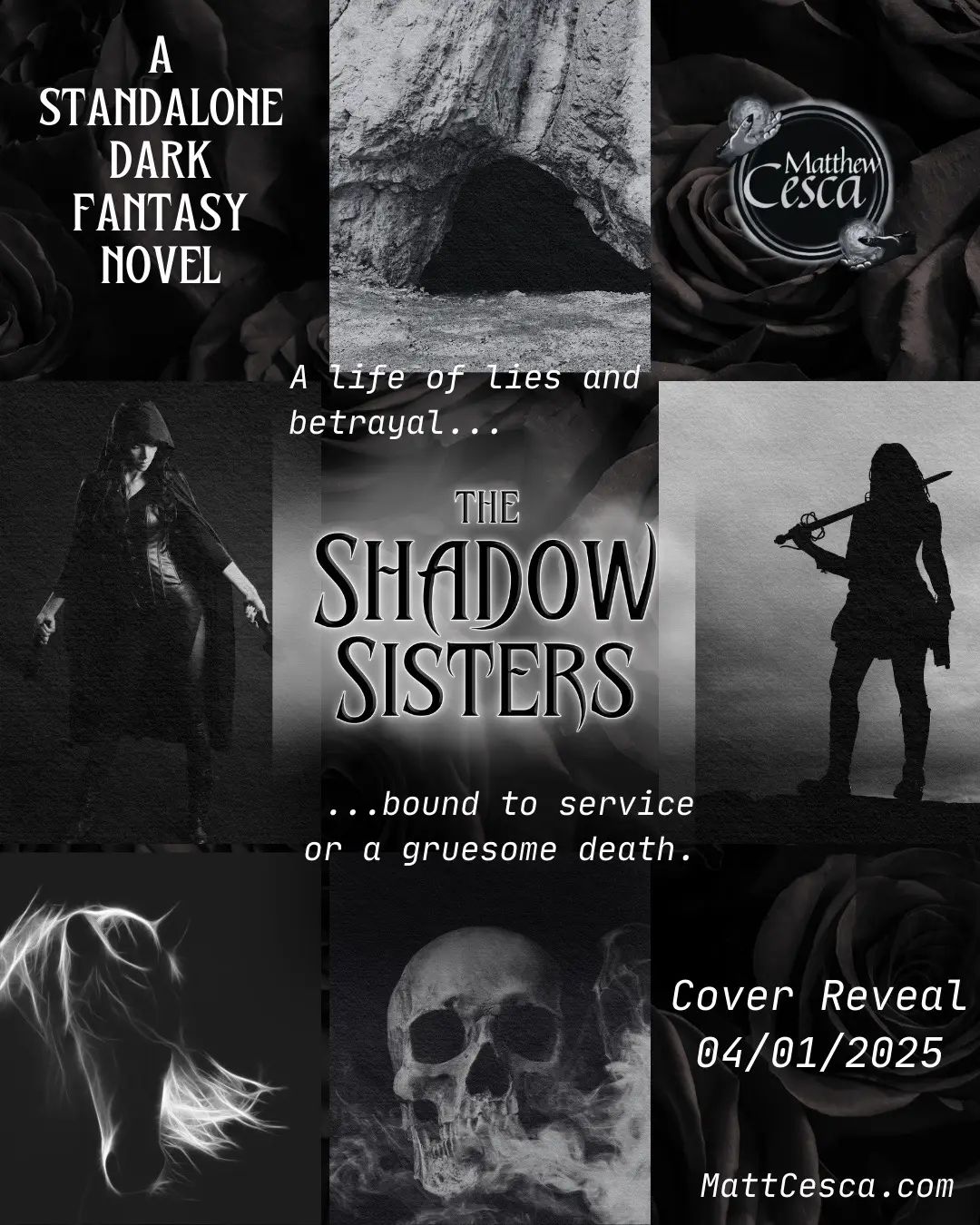 Just four more days until our cover reveal! #booktok #fantasy #authortok #darkfantasy #theshadowsisters #coverreveal