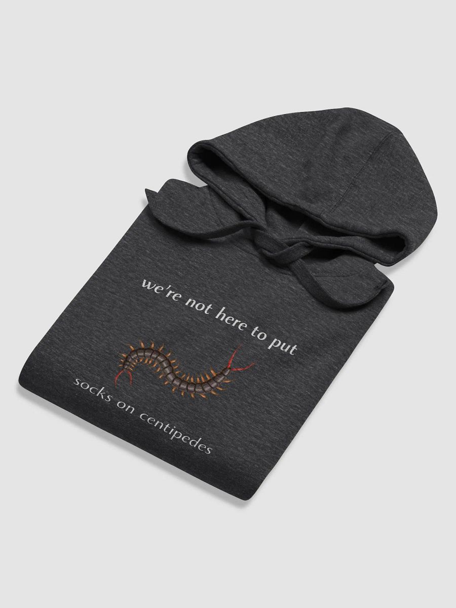 Socks on Centipedes Unisex Hoodie product image (4)