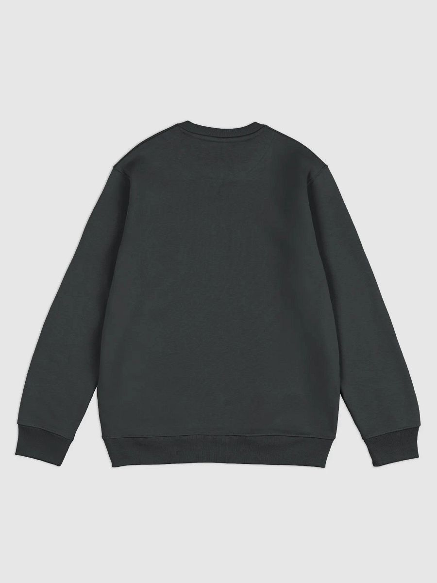 Nova Squat Sweater product image (2)