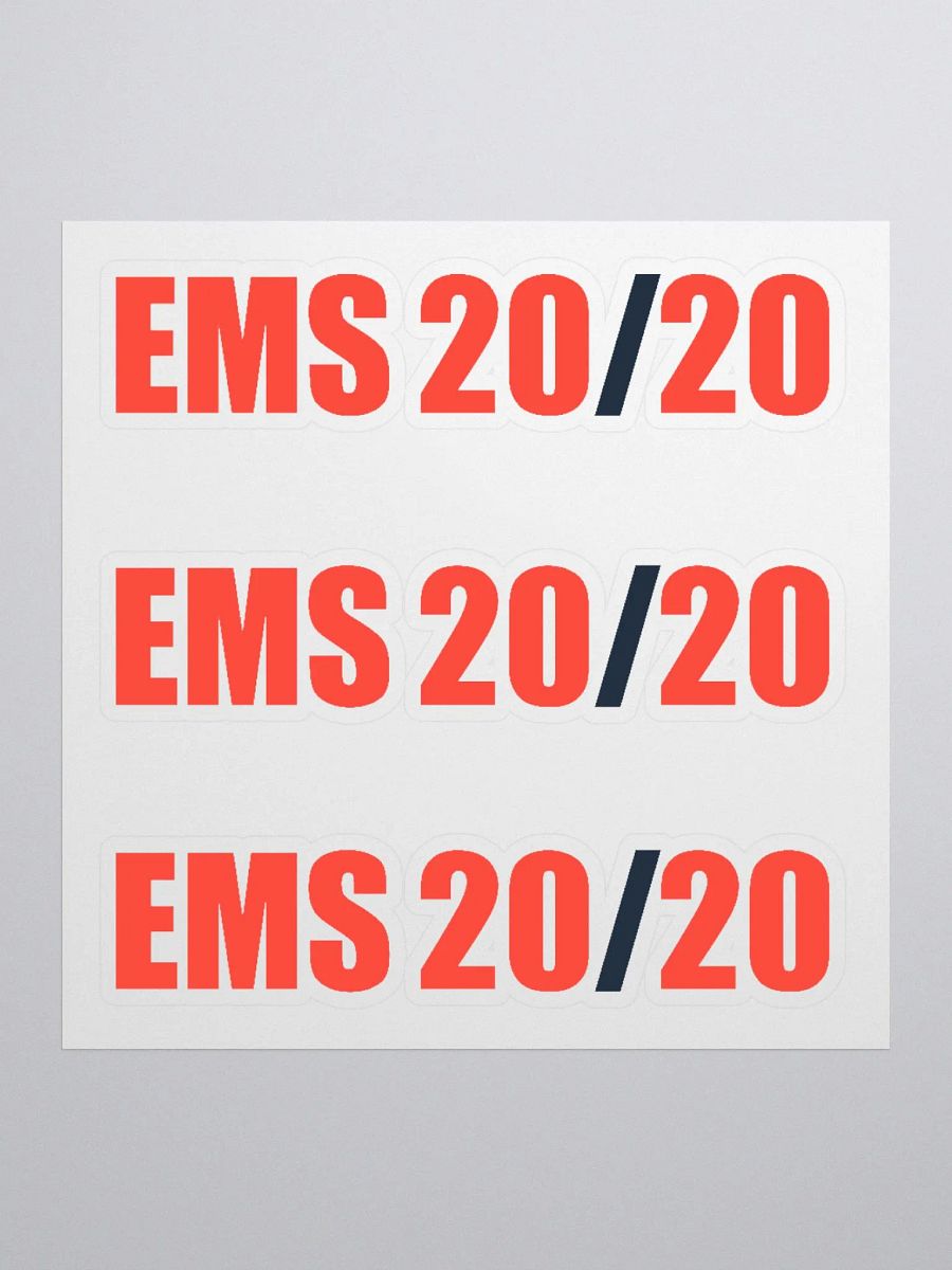 EMS 20/20 Stickers - Set of 3 product image (1)