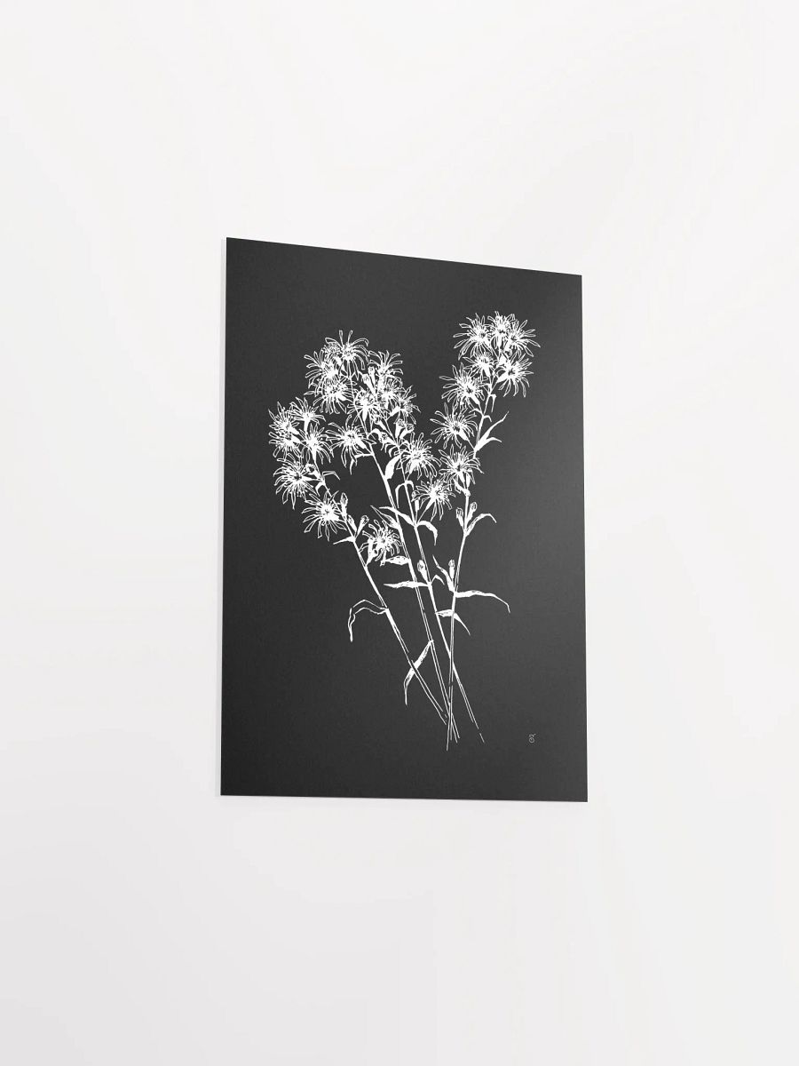 Spiky Blossom Delight Poster - Bouquet Flowers Dark product image (3)