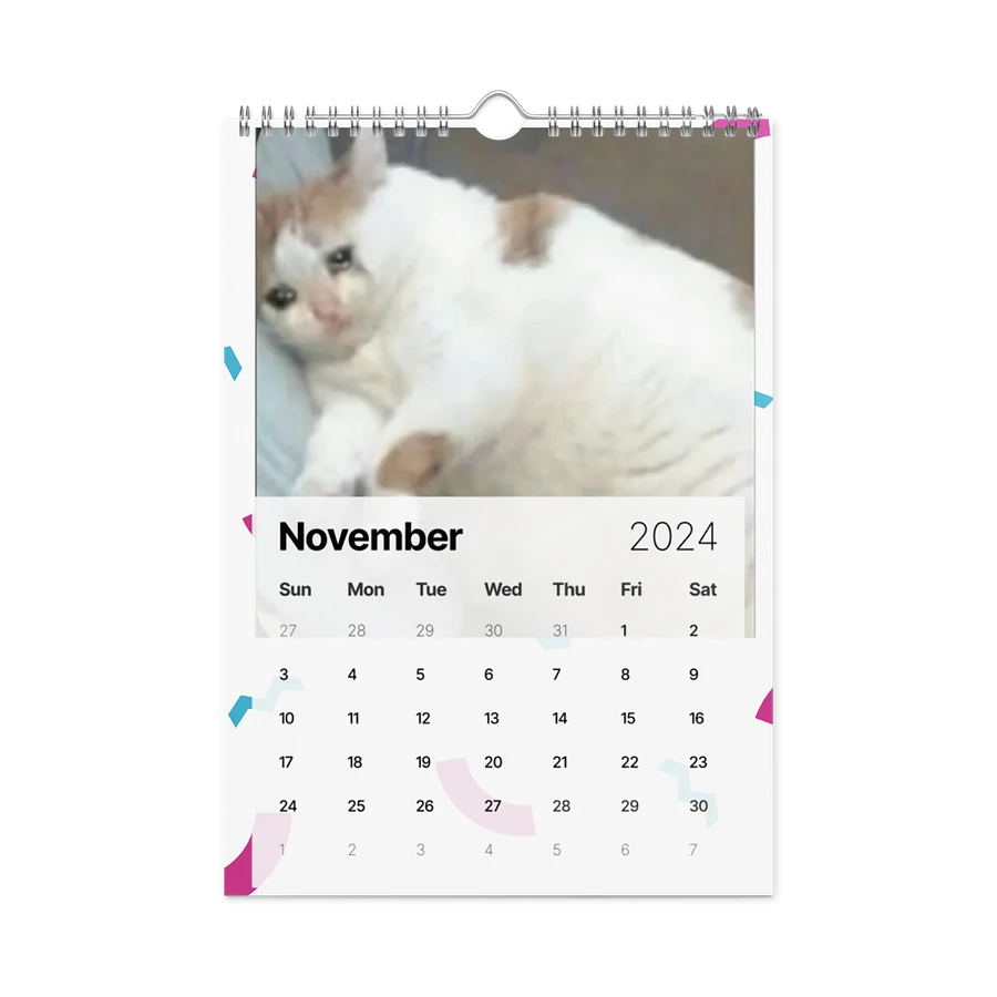 Wall Calendar (2024): Meme Cats product image (15)