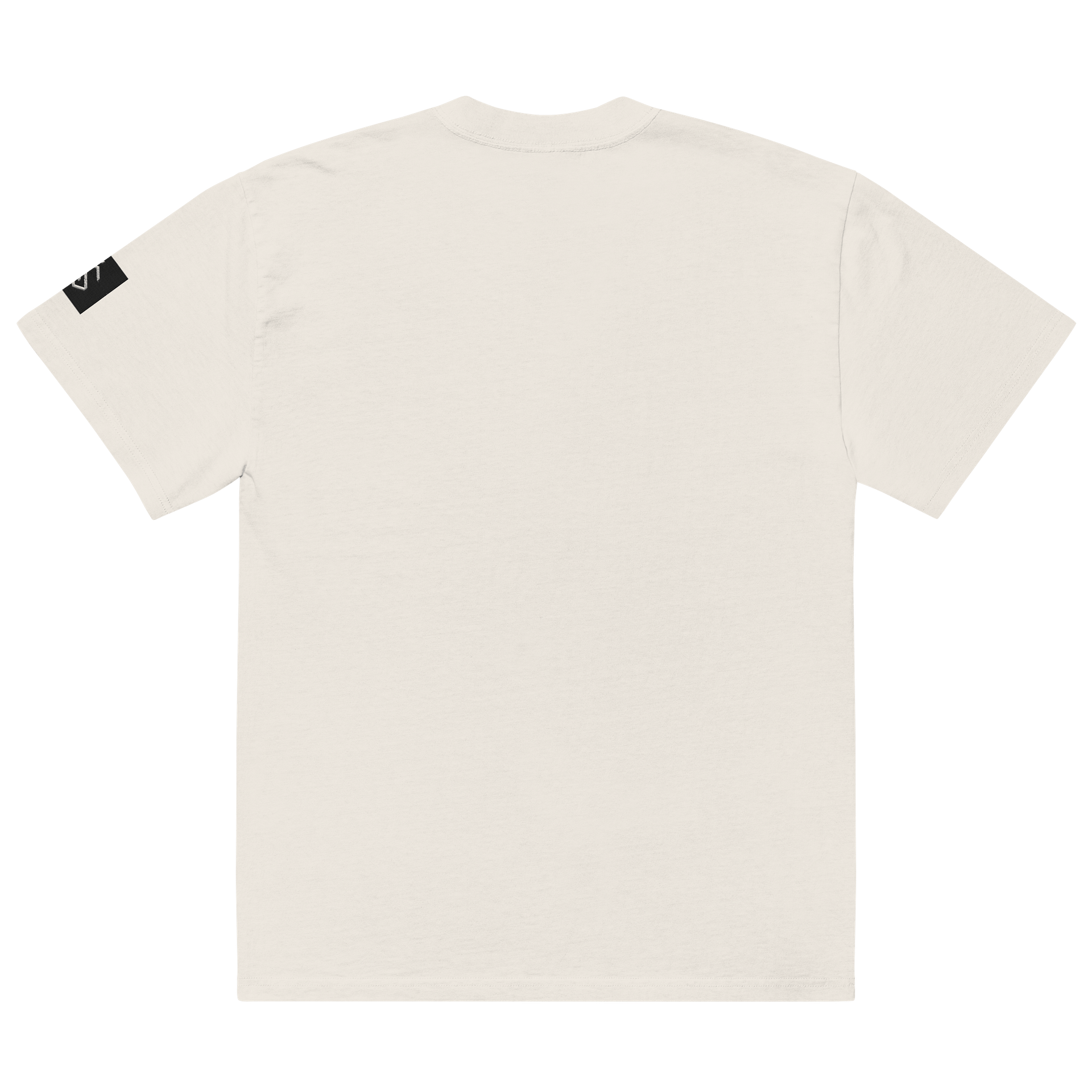 Calisthenics Ascend White T-Shirt product image (4)