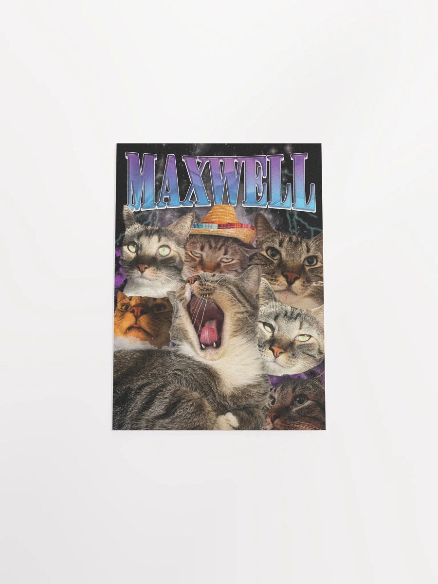 Many Faces of Maxwell - Poster Edition product image (7)