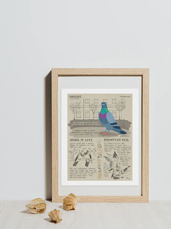 Pigeon Educational Print – Veganuary 2024 product image (1)