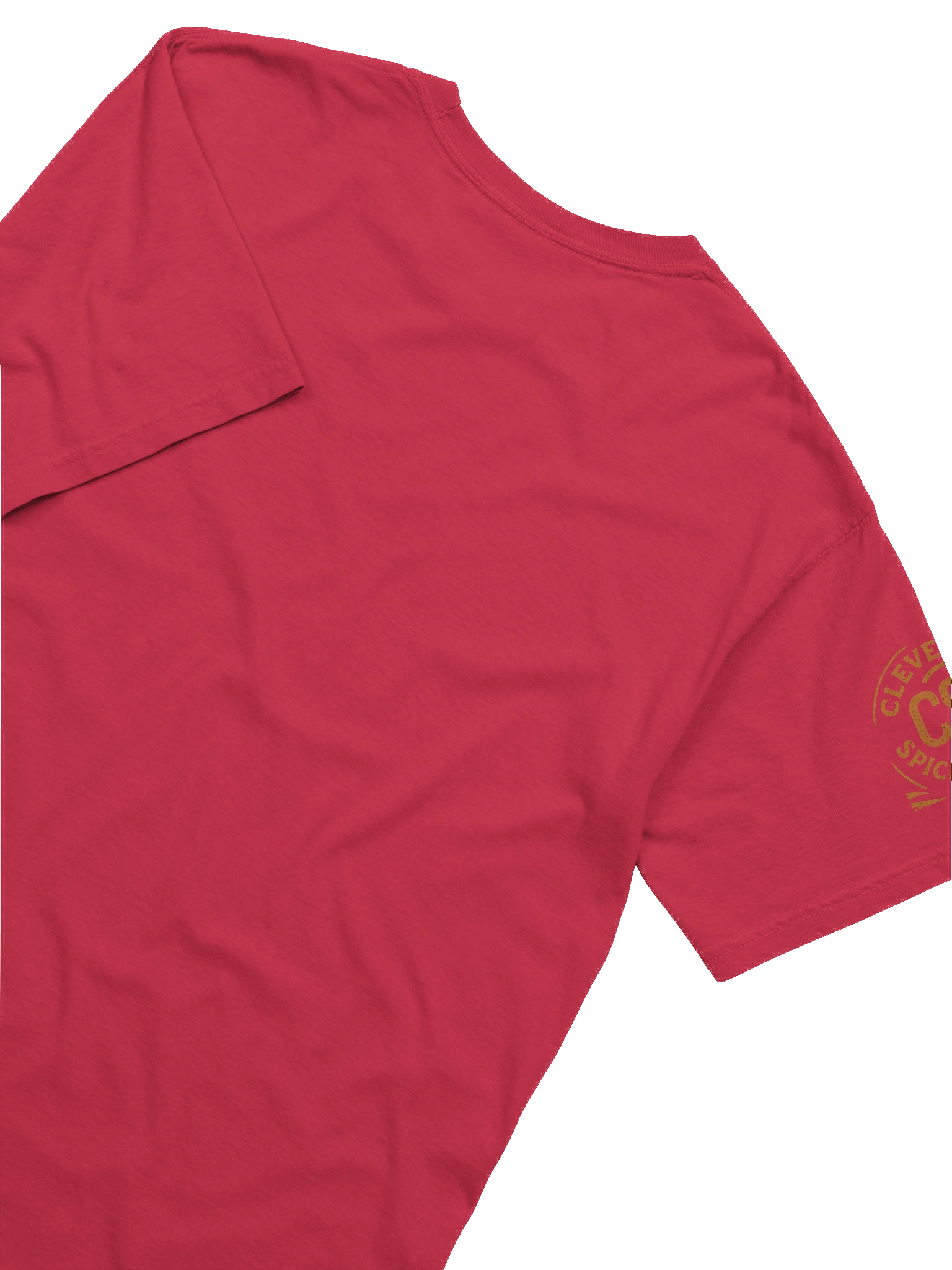 Cajun shirt CCS sleeve product image (6)
