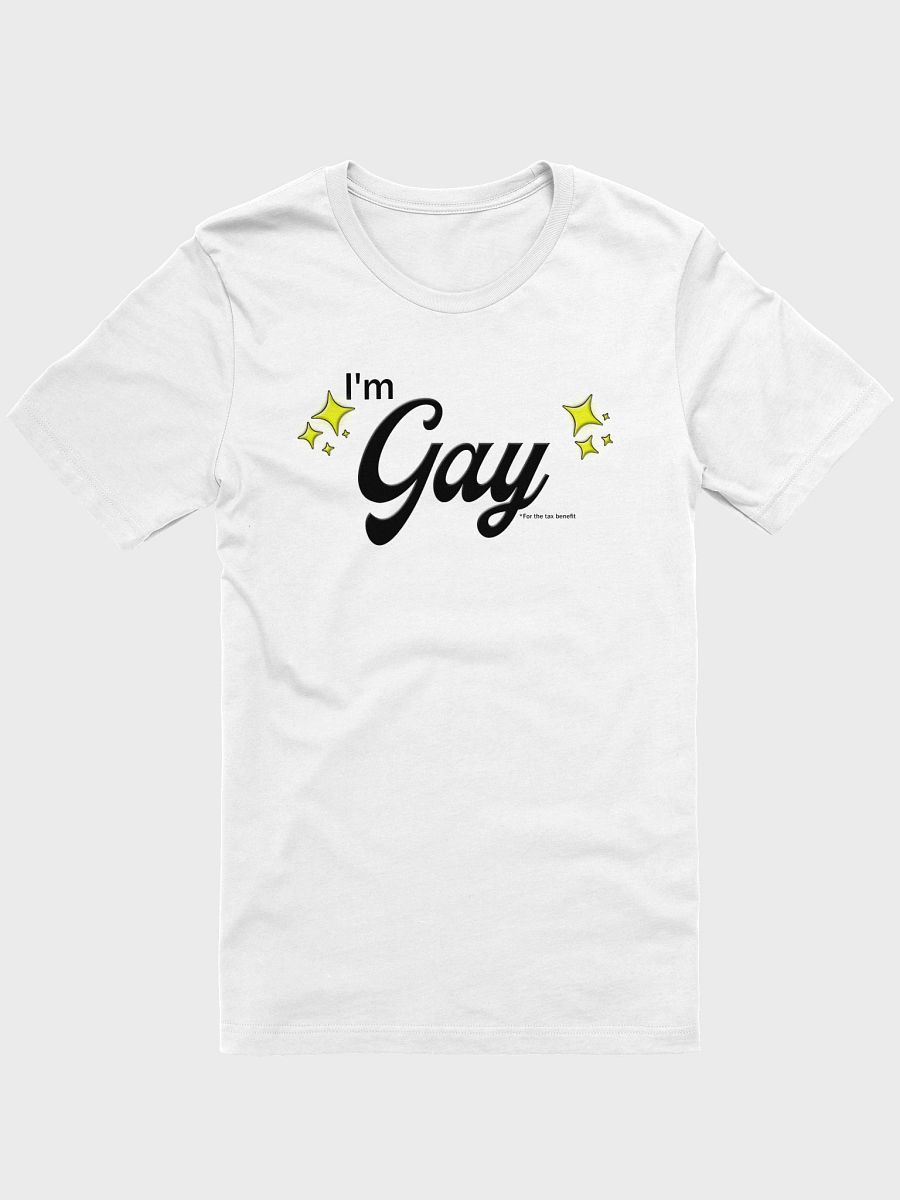 I'm Gay (for the tax benefit) Charity Tee product image (1)