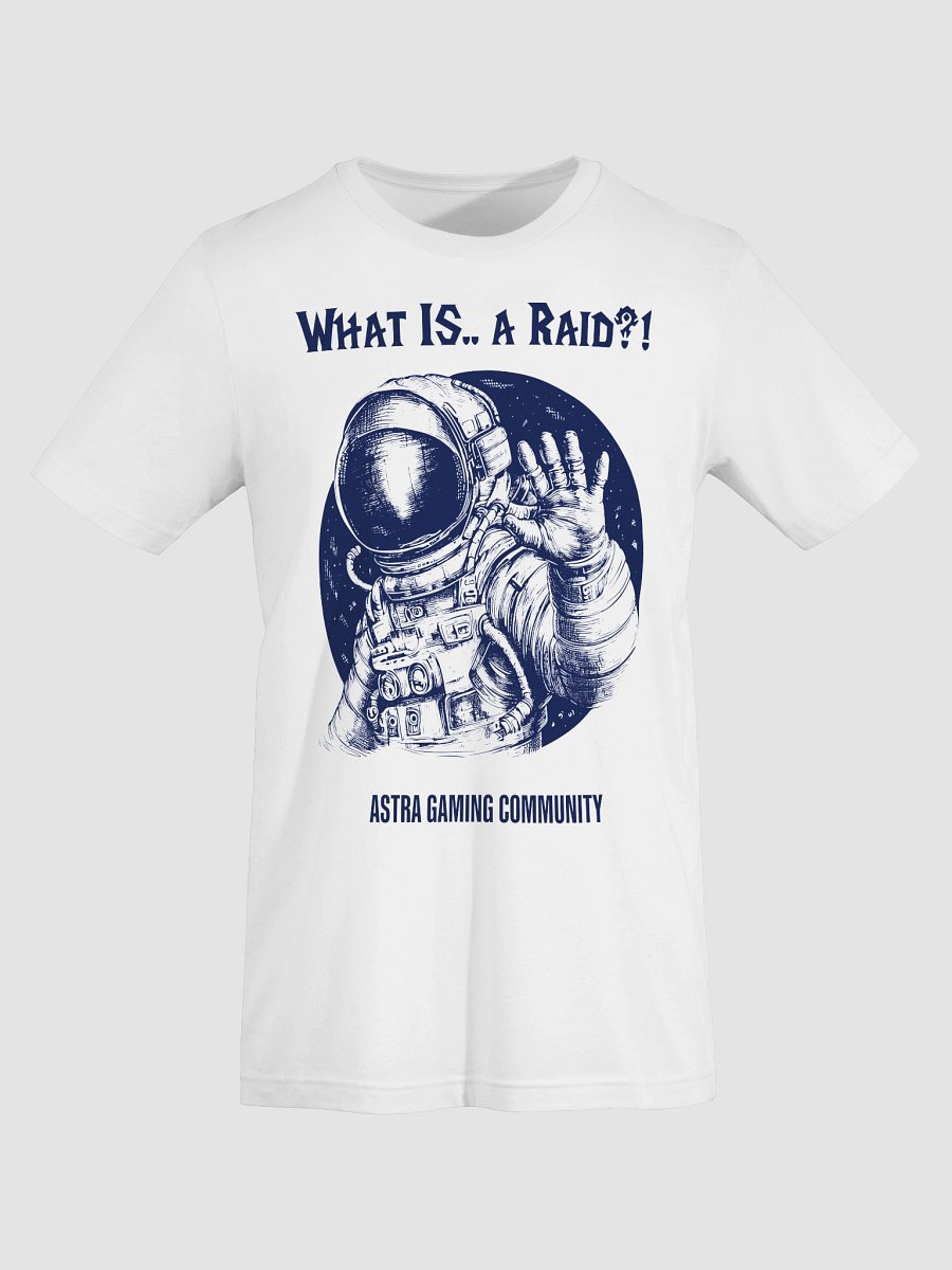 What is... a Raid? product image (7)