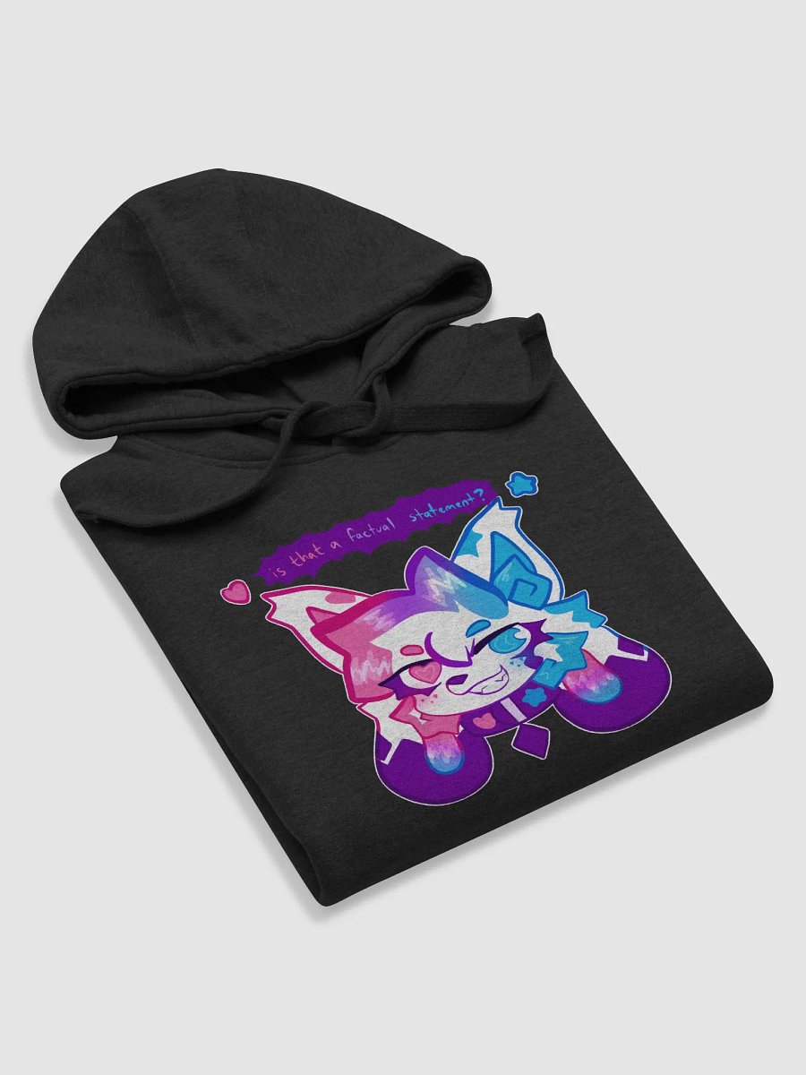 is that a factual statement? hoodie product image (54)