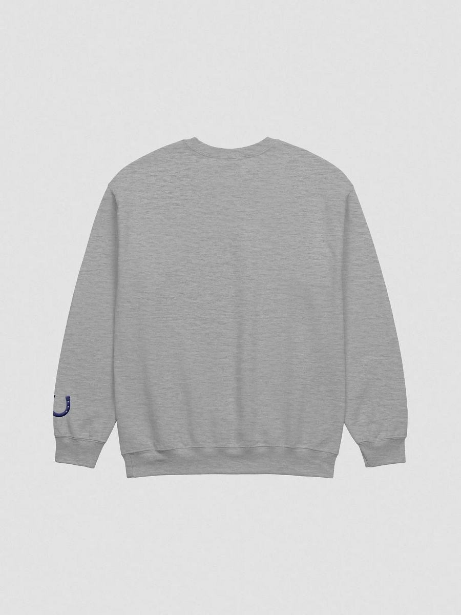 Equestrian Horseshoe Embroidered Sweatshirt product image (3)