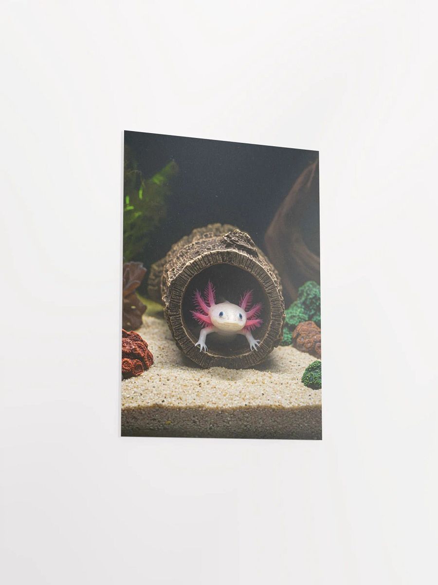 The Axolotl's Abode product image (18)