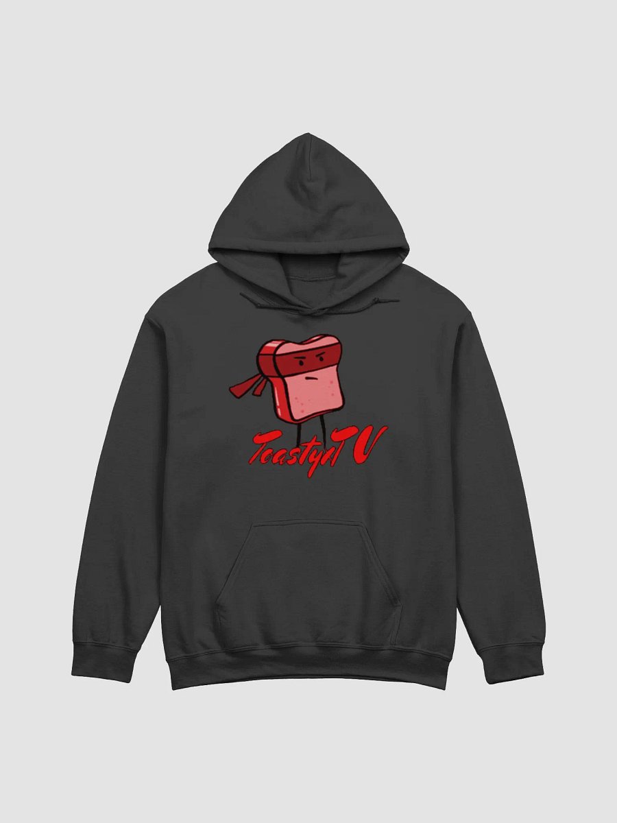 Toasty Hoodie product image (3)