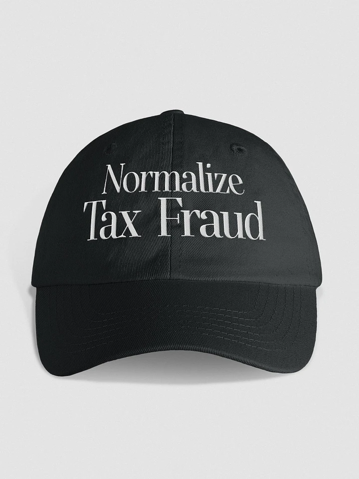 Normalize Tax Fraud - Cap product image (1)