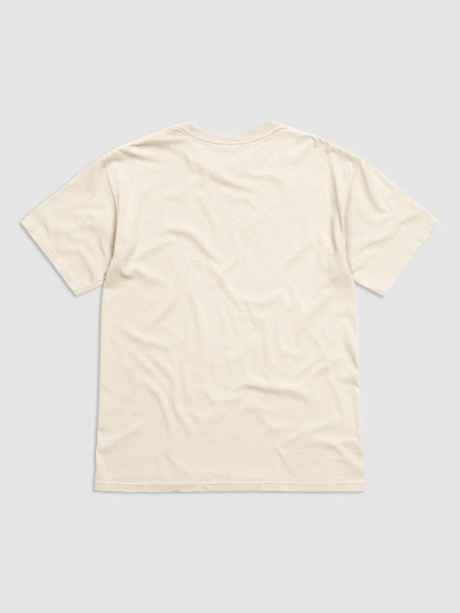 Wrong Vibes Heavyweight Tee product image (6)