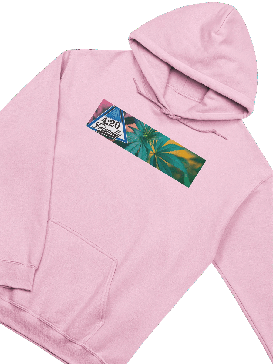 Hoodie product image (2)