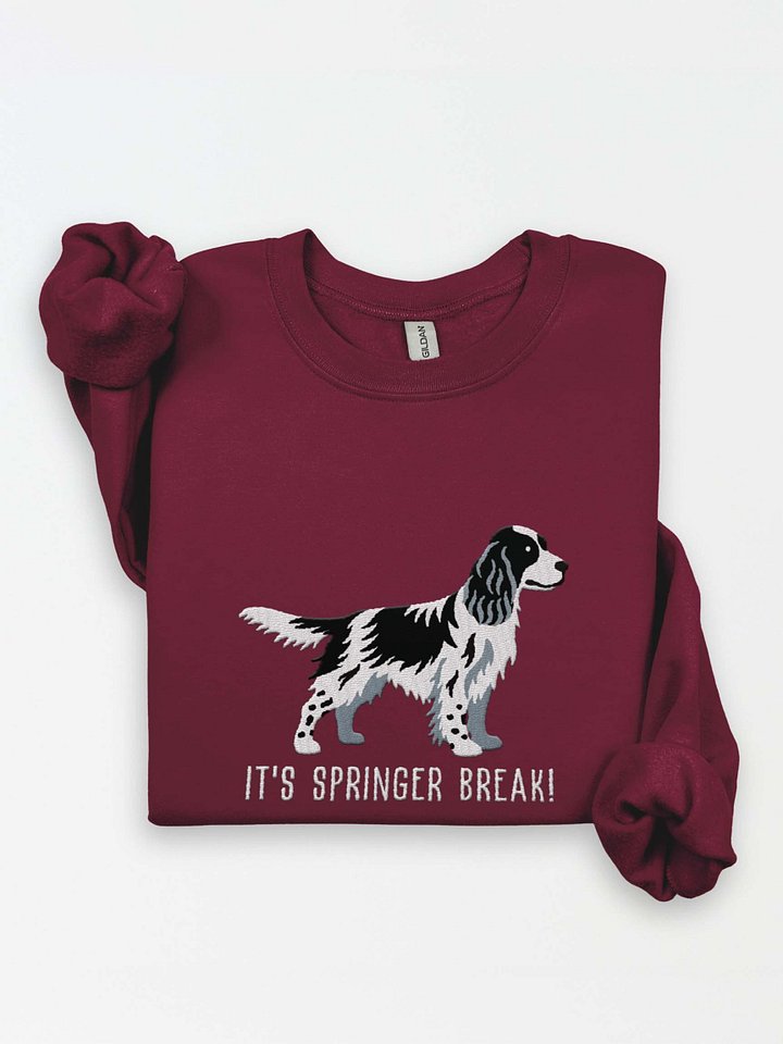 It's Springer Break Sweatshirt (Embroidered) of an English Springer Spaniel(Black & White) product image (1)