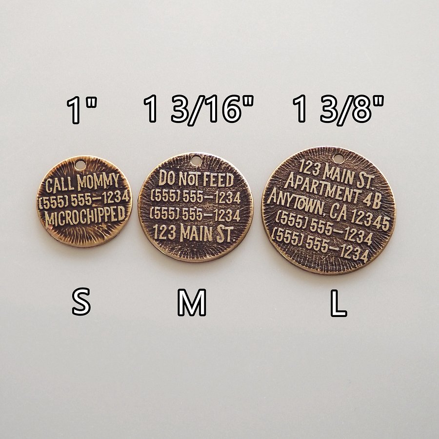 Personalized Pet Name Tag with Atlas-Inspired Design for Dogs and Cats. product image (4)