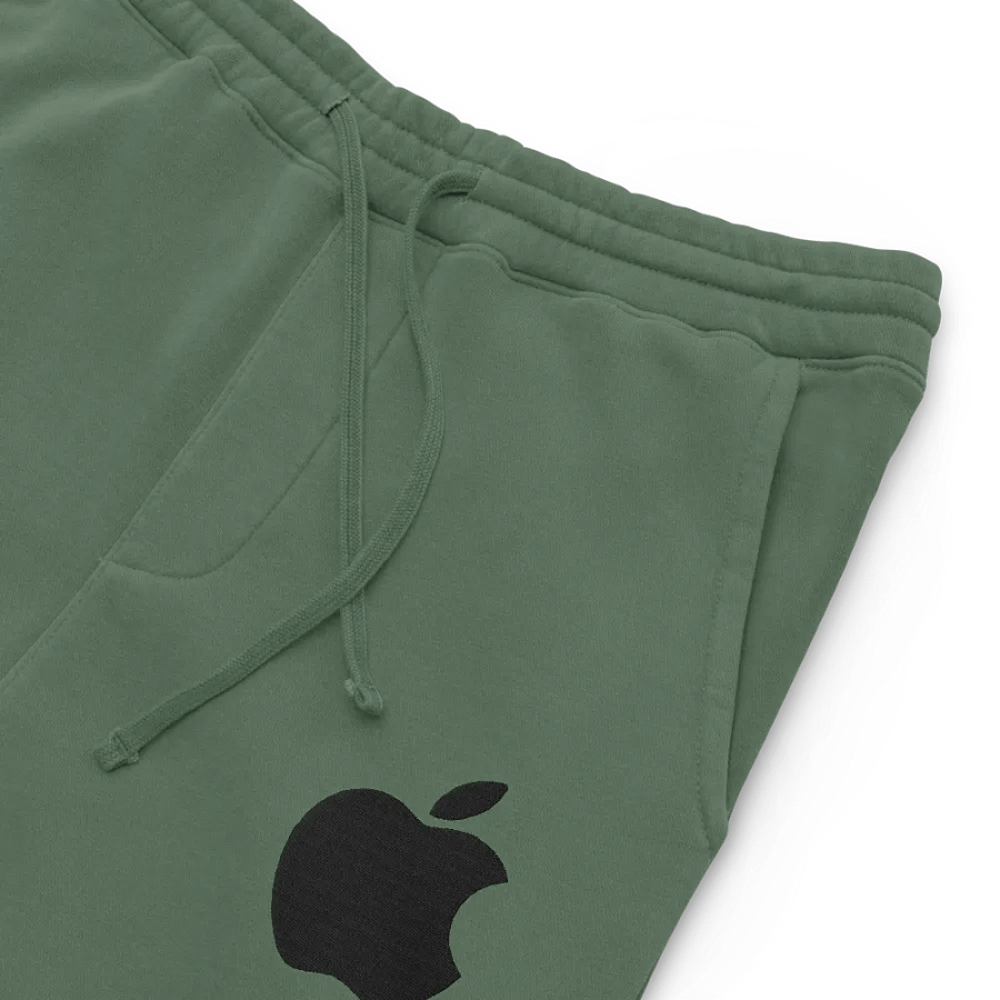 Independent Trading Co. Pigment Dyed Joggers product image (6)
