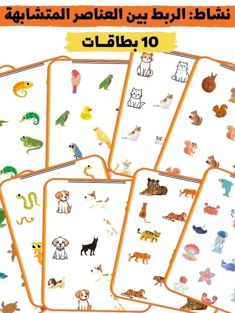 نشاط: 10 بطاقات ملوّنة | الربط بين العناصر المتشابهة - pdf product image (1)