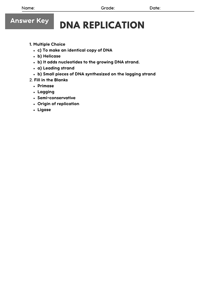 Biology DNA Replication Worksheet - Printable PDF with Answer Key product image (2)