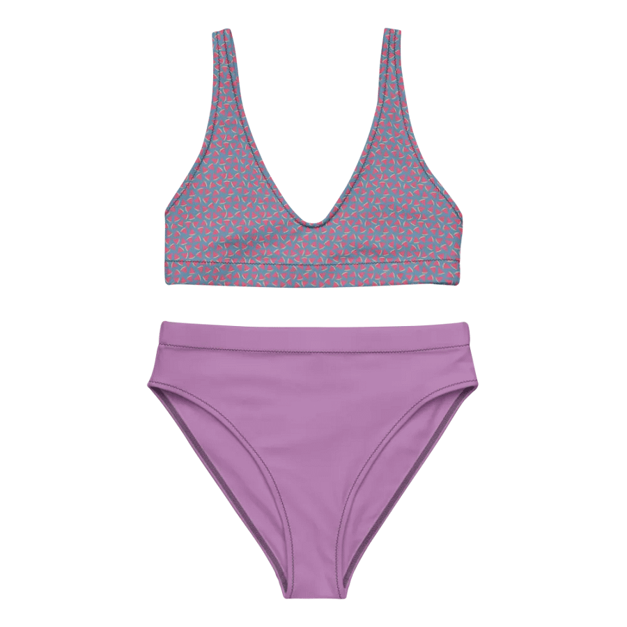 Small Watermelon Patterns Bikini product image (5)