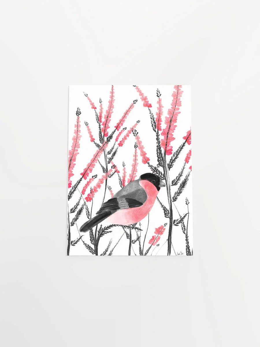 beautiful bullfinch product image (4)