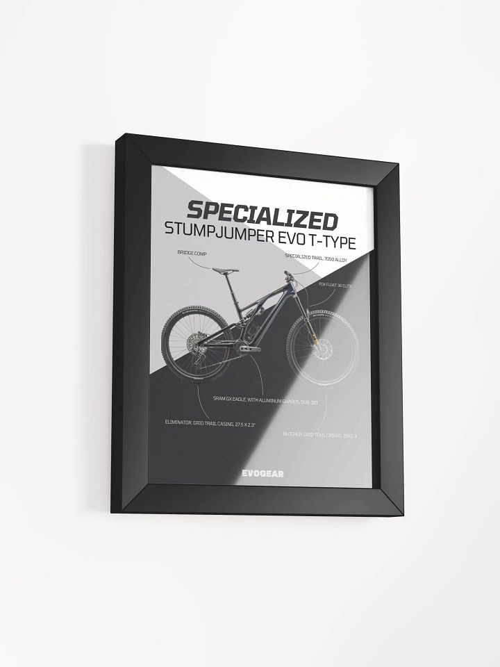 Specialized Stumpjumper EVO Expert T-Type Frame product image (10)
