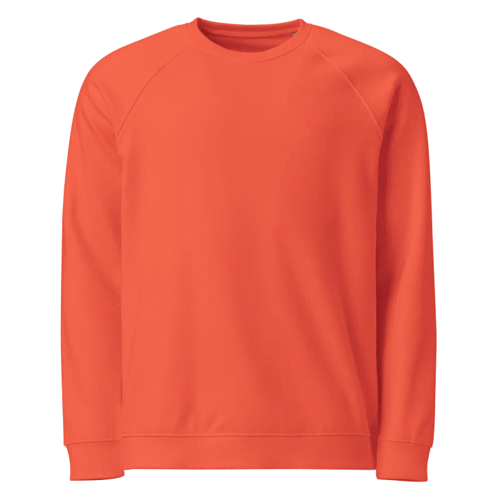 CF Unisex Organic Raglan Sweatshirt product image (1)