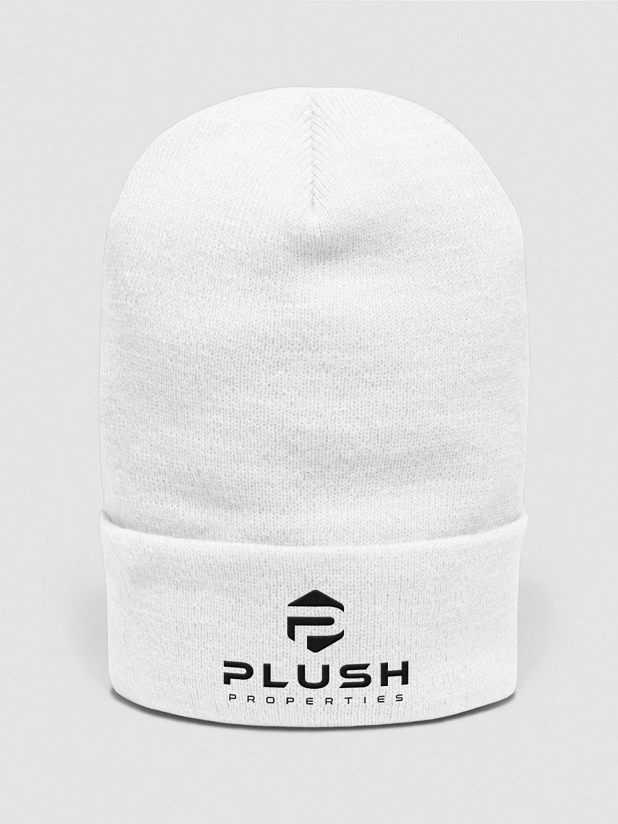 Plush Cuffed Beanie - White - Grey product image (4)