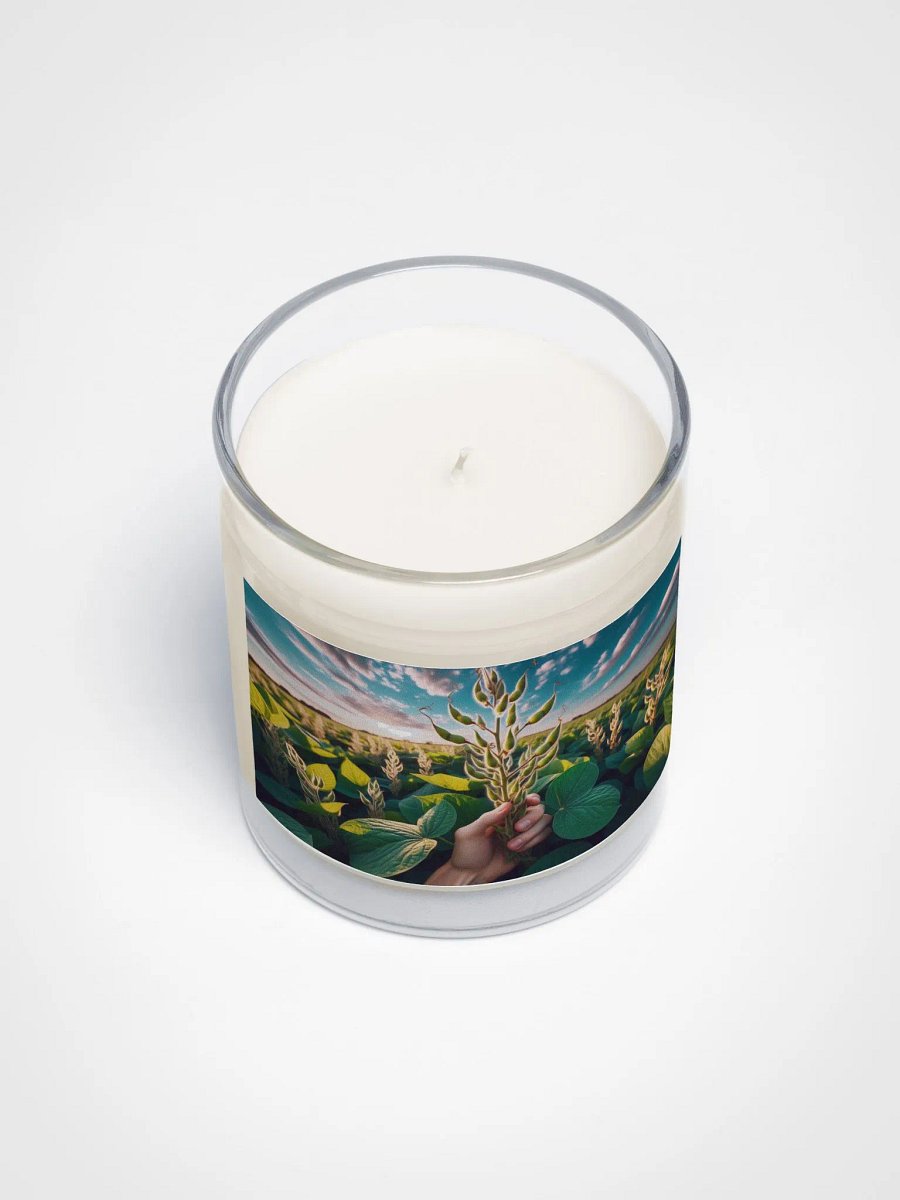 Soybean Serenity Candle product image (3)