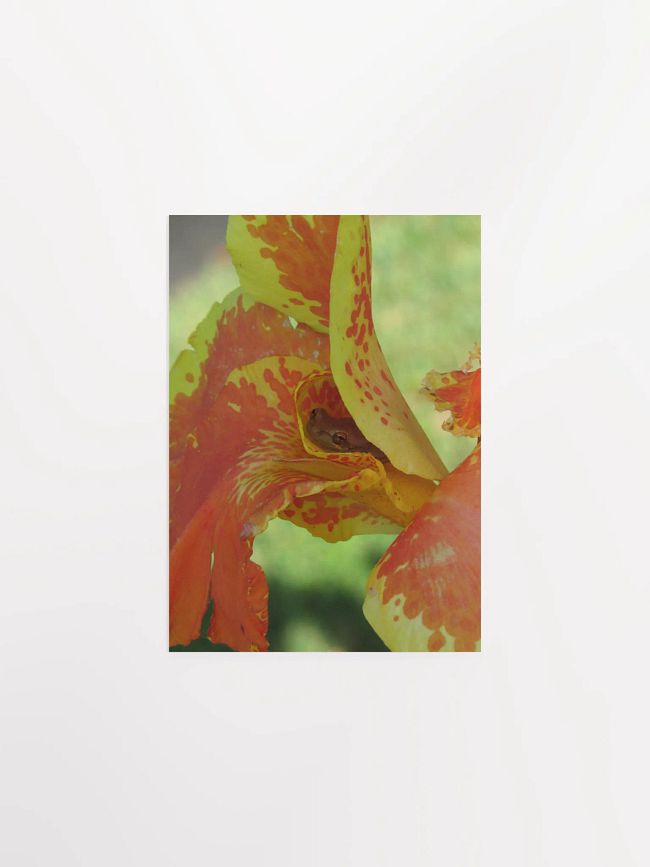 Photography Prints