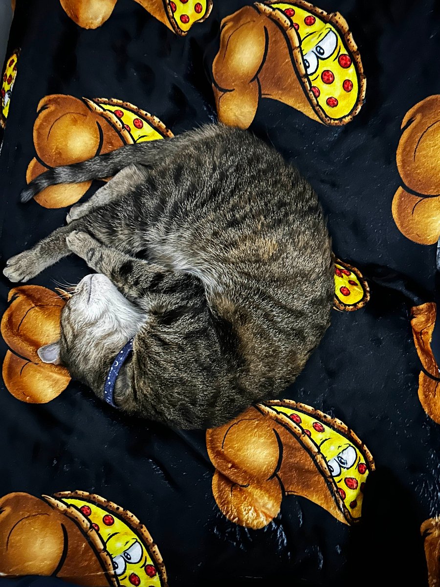 SpookyTimePizza Booty Blanket product image (4)