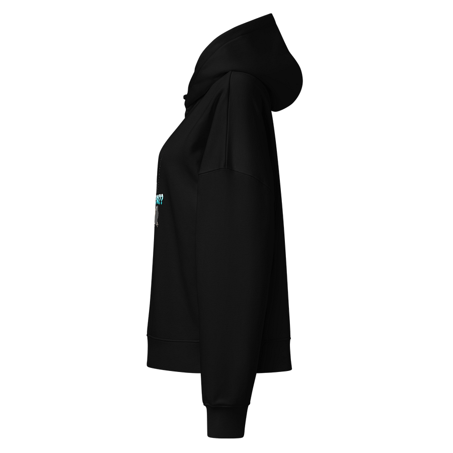 Counting Sheep Organic Hoodie product image (9)