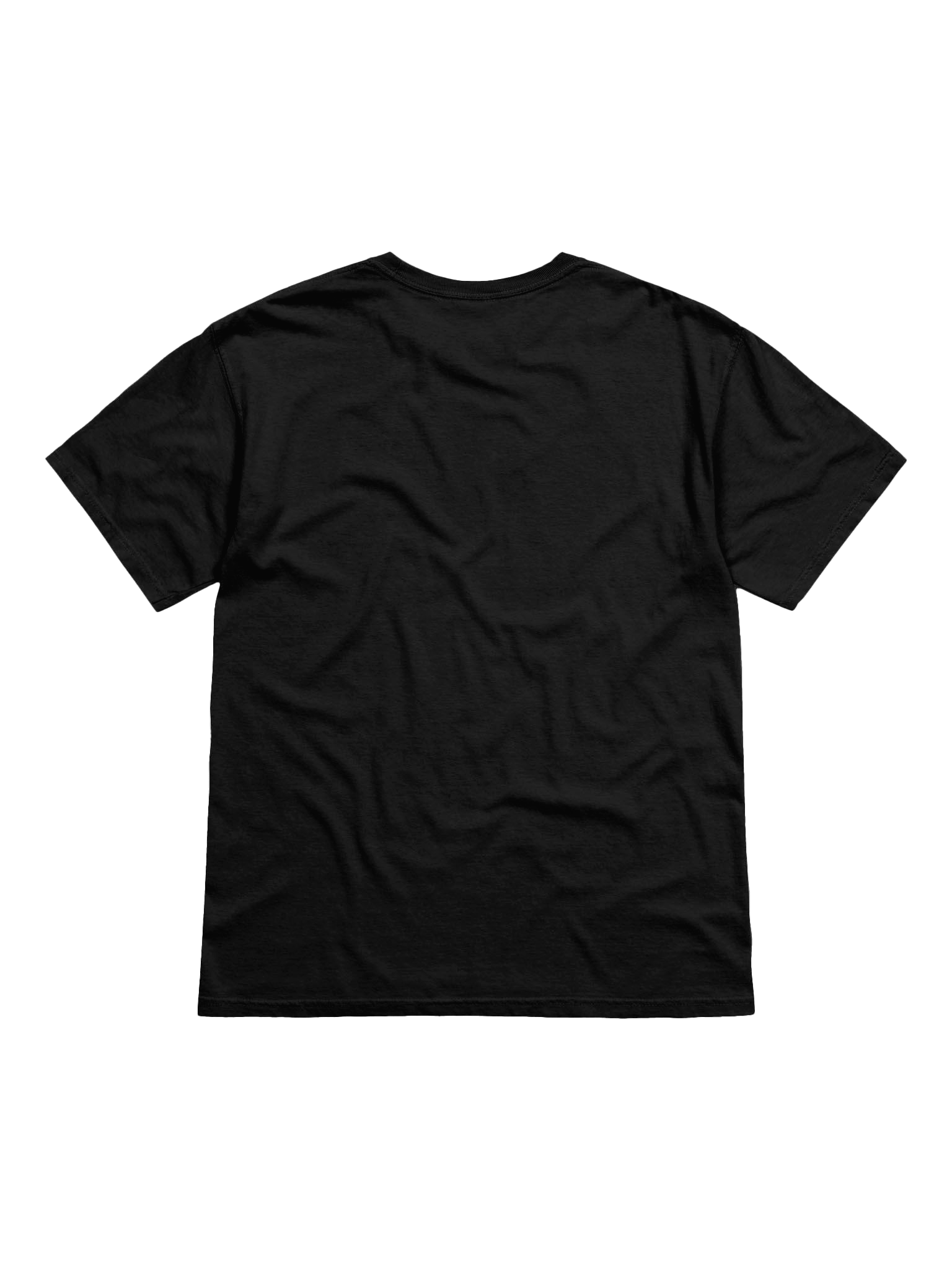 It's Garlic Time! T-Shirt product image (3)