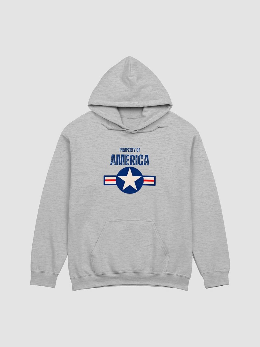 Property of America Hoodie product image (18)
