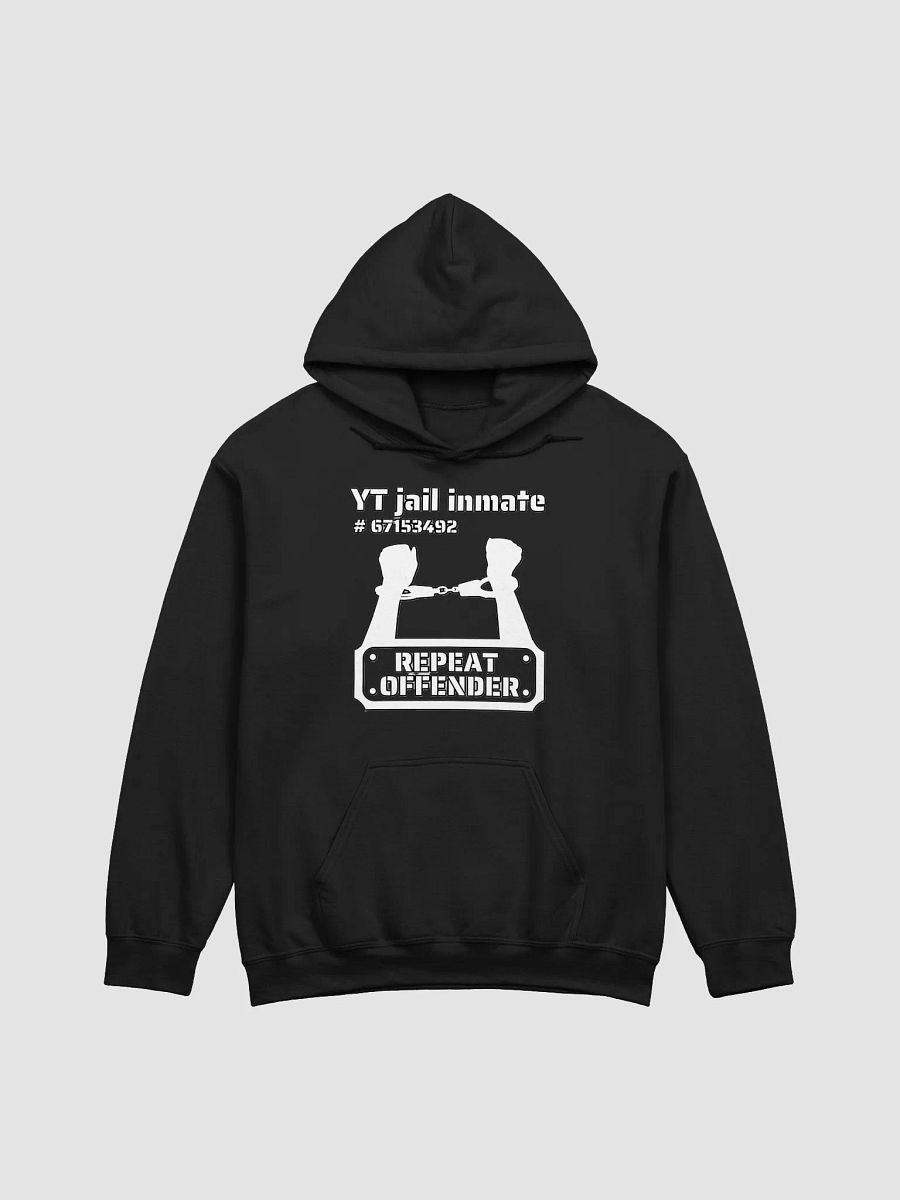 YT JAIL INMATE REPEAT OFFENDER product image (3)